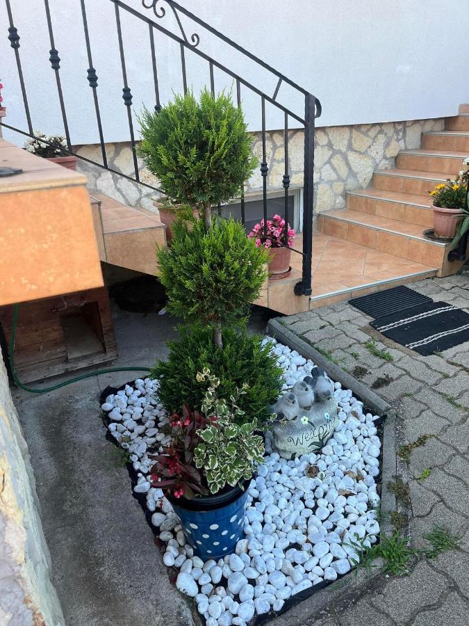 Rege Apartman Alsoors Luaran gambar